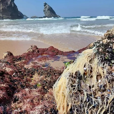 A Casa Da Praia * Adraga